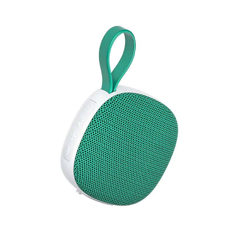 Portable Mini Speaker With Wireless Mic for Kids – Loudspeaker Professional Audio Bluetooth Speaker System